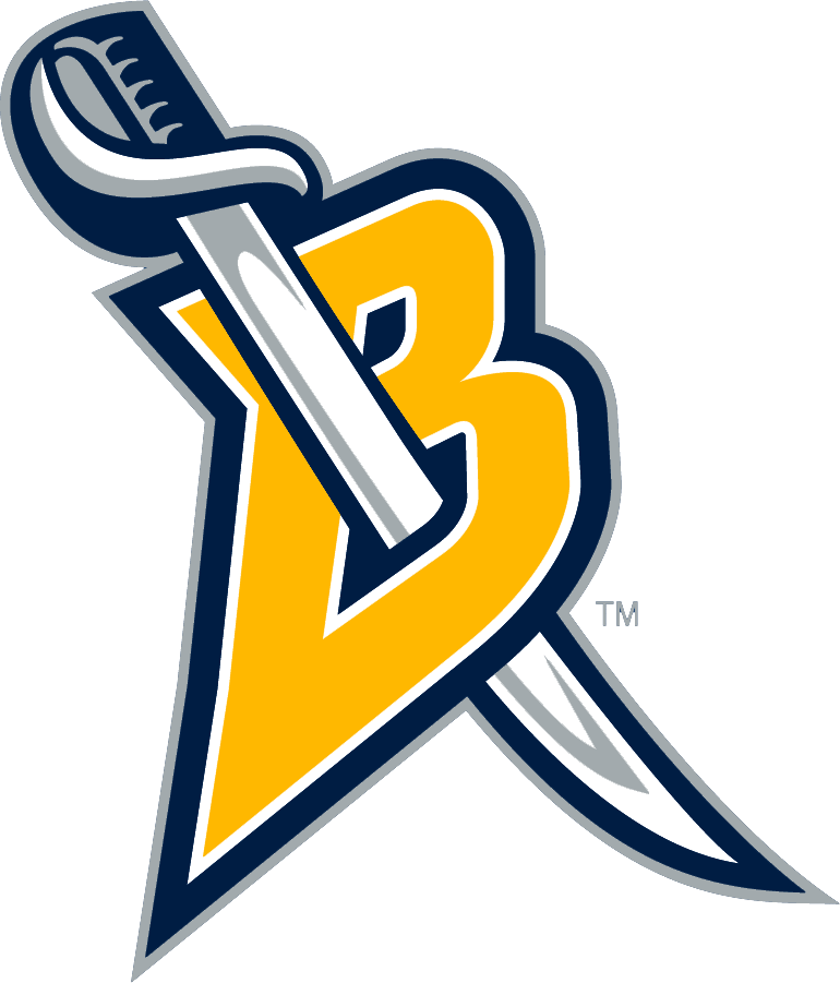 Buffalo Sabres 2006-2012 Alternate Logo t shirts DIY iron ons
